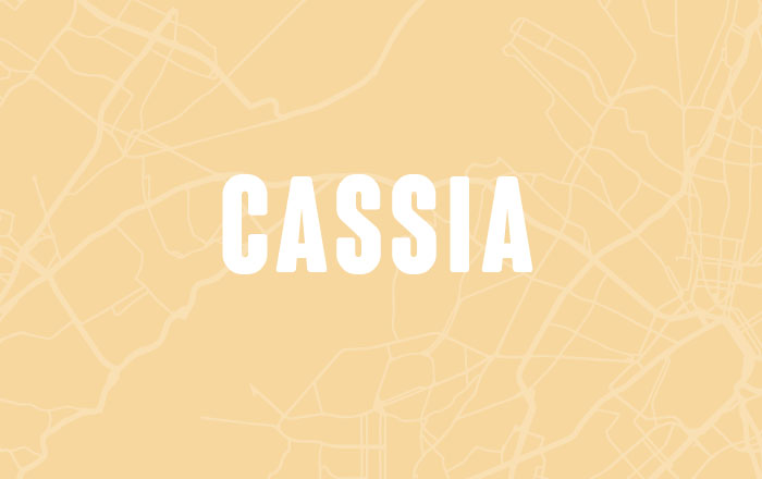 Cassia